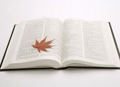 沙尔克击败奥格斯堡，前进积分榜前列