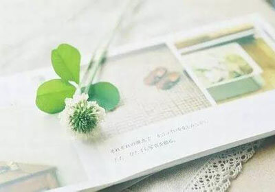 女足冠军杯再登顶：巅峰对决即将揭晓