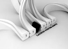 摩纳哥将对阵雷恩，争取取胜