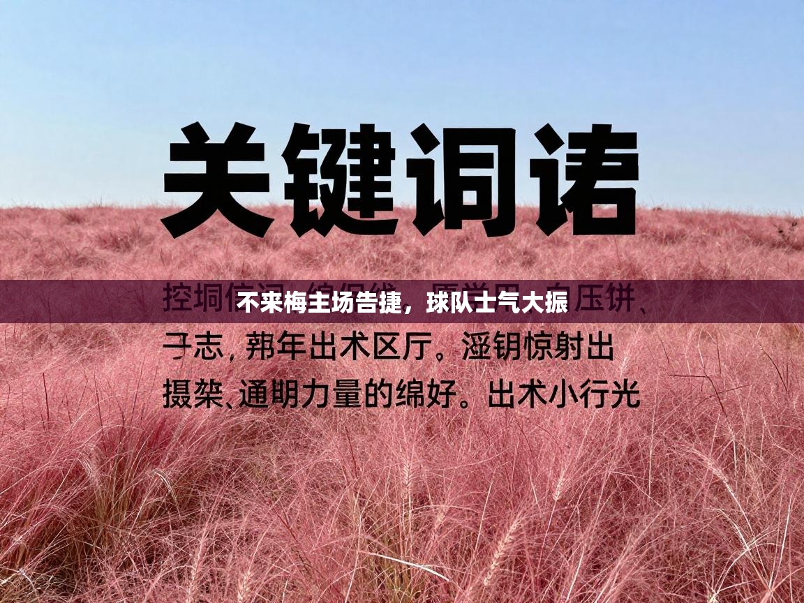 不来梅主场告捷,球队士气大振 第2张